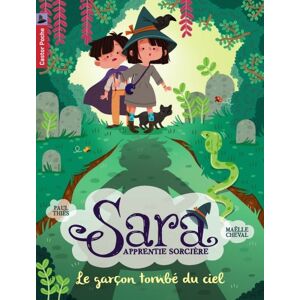 Sara Apprentie Sorcière, Tome 1 : Le Garçon Tombé Du Ciel - Publicité