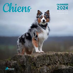 Artémis Calendrier Chiens 2024: Calendrier De Septembre 2023 À Décembre 2024 - Publicité