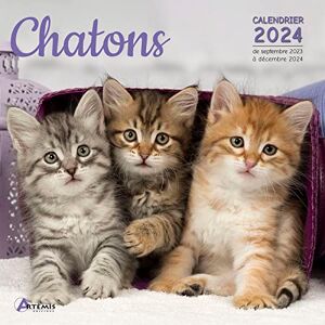 Artémis Calendrier Chatons 2024: Calendrier De Septembre 2023 À Décembre 2024 - Publicité