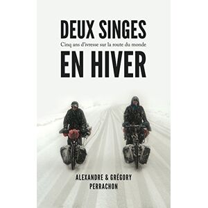 Deux Singes En Hiver