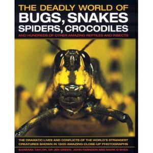 Lorenz Books Explore the Deadly World of Bugs, Snakes, Spiders, Crocodiles and Hundreds of Other Amazing Reptiles and Insects - Publicité