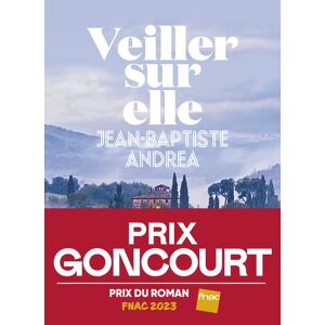 Iconoclaste Eds De L' Veiller sur elle - Prix Goncourt 2023 - Publicité