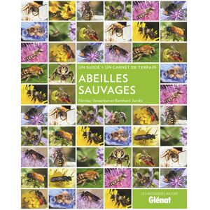 Editions Glénat Guide Abeilles sauvages - Publicité