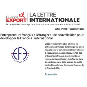 La Lettre Internationale - Abonnement 12 mois