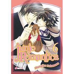 Junjo Romantica Vol 6 Shungiku Nakamura Asuka