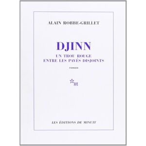 Djinn un trou rouge entre les paves disjoints Alain Robbe Grillet Minuit