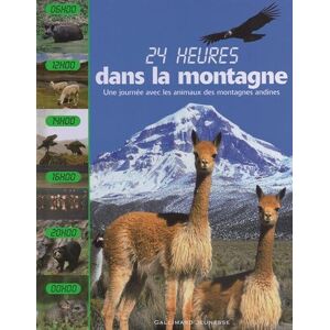 24 heures dans la montagne : une journee avec les animaux des montagnes andines Fleur Star Gallimard-Jeunesse