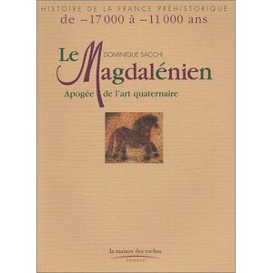 Le magdalenien apogee de lart quaternaire Dominique Sacchi la Maison des roches