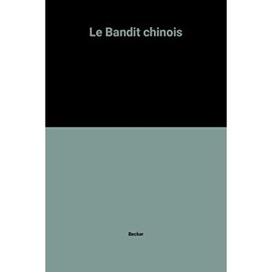 Le Bandit chinois Stephen Becker Albin Michel - Publicité