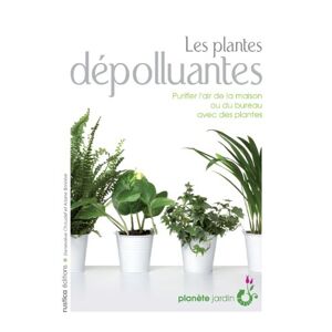 Les plantes depolluantes purifier lair de la maison ou du bureau avec des plantes Ariane Boixiere Asseray Genevieve Chaudet Rustica