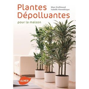 Plantes depolluantes pour la maison Jean Marc Grollimund, Isabelle Hannebicque Ulmer