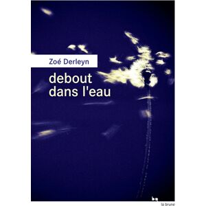 Debout dans leau ZoeI Derleyn Rouergue