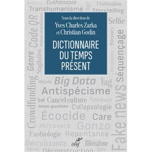 Dictionnaire du temps present  collectif, yves-charles zarka, christian godin Cerf