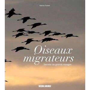 Oiseaux migrateurs : secrets de grands voyageurs Patrick Fichter Sud-Ouest