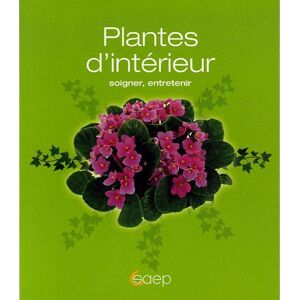 Plantes d'intérieur : soigner, entretenir Pierre Nessmann SAEP