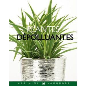 Plantes depolluantes Benedicte Boudassou Larousse
