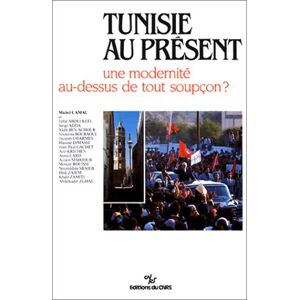 Tunisie au present : une modernite au-dessus de tout soupcon ? camau, michel Ed. du CNRS