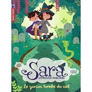 Sara apprentie sorcière. Vol. 1. Le garçon tombé du ciel Paul Thiès Flammarion - Publicité