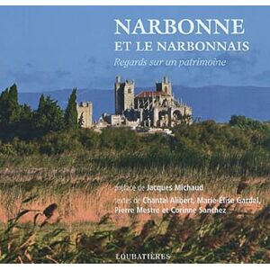 Narbonne et le Narbonnais : regards sur un patrimoine  marie-elise gardel, chantal alibert, pierre mestre, corinne sanchez, jacques michaud Loubatieres