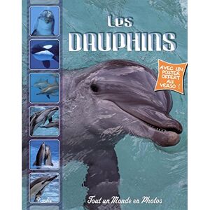 Les dauphins piccolia Piccolia