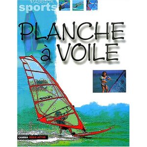 Planche a voile Damien Degorre Marc Henry Andre Michel Palomba Gamma Jeunesse Ecole active