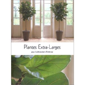 Plantes extra-larges : pour la decoration d