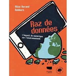 Raz de donnees : l'impact du numerique sur l'environnement Alice Durand Delachaux et Niestle