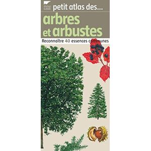 Petit atlas des arbres et arbustes : reconnaître 40 essences communes Elisabeth Trotignon Delachaux et Niestle