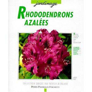 rhododendrons et azalees : des varietes pour le balcon, la terrasse et le jardin... kogel, andrea hachette