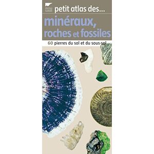 Petit atlas des mineraux, roches et fossiles : 60 pierres du sol et du sous-sol Olivier Dauteuil, Aline Dia Delachaux et Niestle
