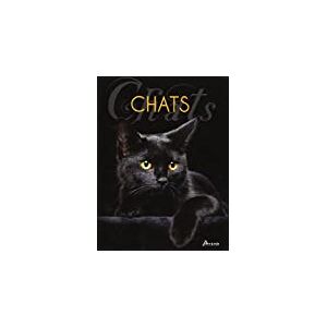 Chats  dal secco emmanuelle Artemis