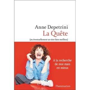 La quete (ou eventuellement un titre bien meilleur) Anne Depetrini Flammarion