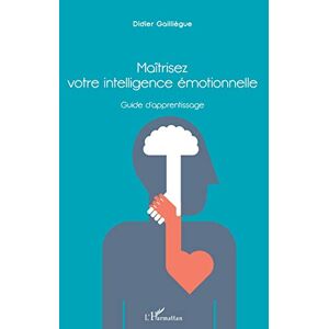 Maîtrisez votre intellligence emotionnelle : guide d'apprentissage : methode DG Didier Gailliegue L'Harmattan