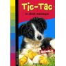 Tic-Tac, le chiot maniaque