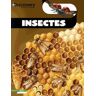 Insectes