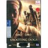 Shooting dogs