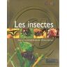 Les insectes