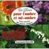 Les fleurs pour l'ombre et mi-ombre