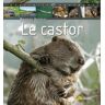 Le castor