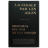 La cigale par les ailes. Zénon d'Elée par ses surnoms