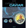 L'univers du caviar