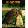 Le castor