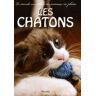 Les chatons