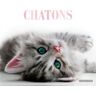 Chatons