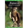 Rapaces diurnes et nocturnes