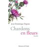 Chardons en fleurs