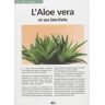 L'Aloe vera et ses bienfaits