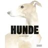 Angus Hyland Hunde In Der Kunst