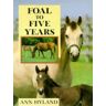 Ann Hyland Foal To Five Years