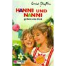 Enid Blyton Hanni Und Nanni, Bd.10, Hanni Und Nanni Geben Ein Fest